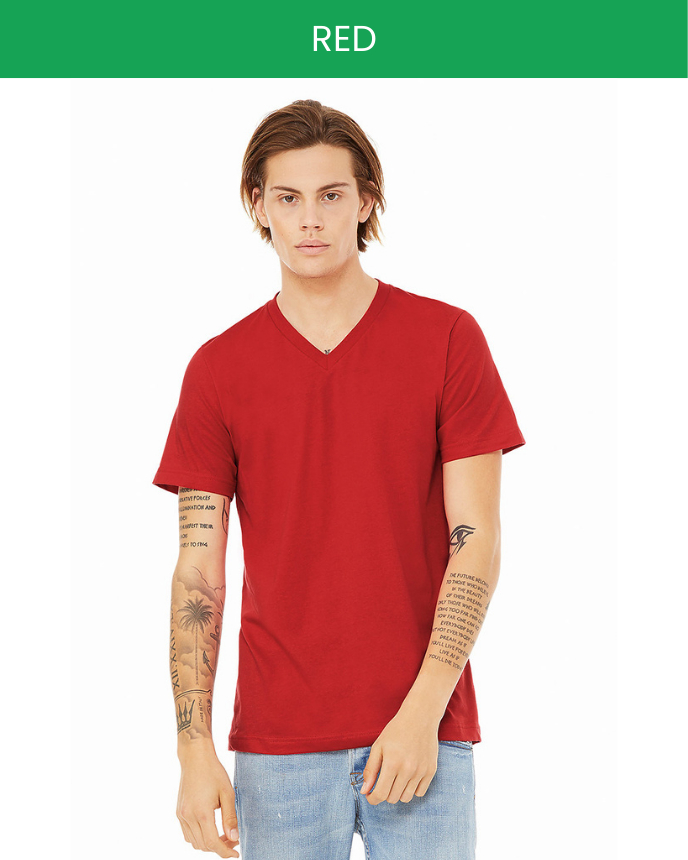 Unisex V-neck T-shirt Bella Canvas 3005 (Made in US)