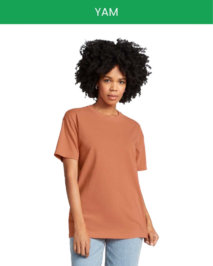 Comfort Colors 1717