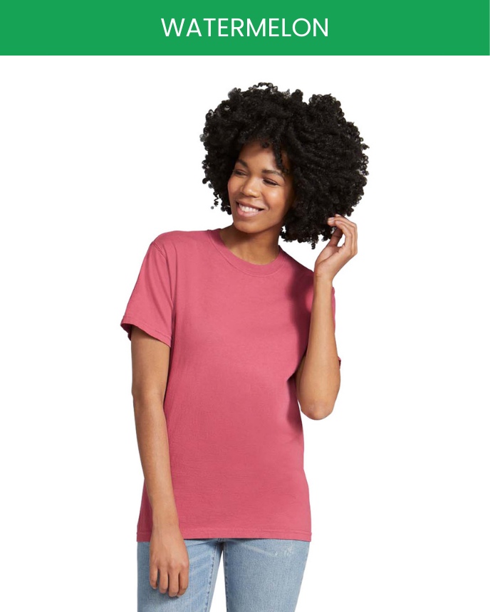 Comfort Colors 1717