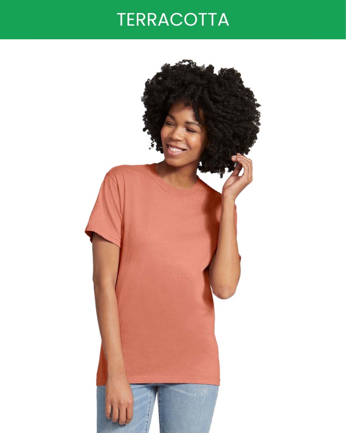 Comfort Colors 1717