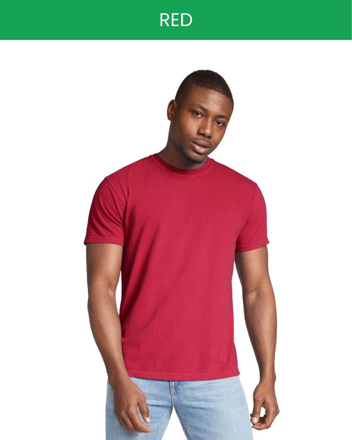 Comfort Colors 1717