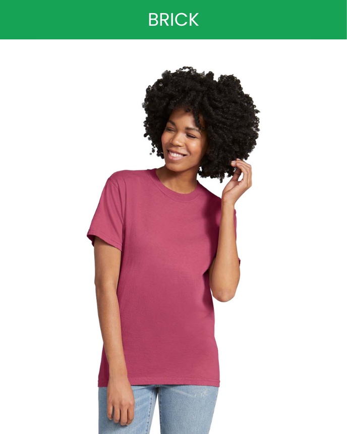 Comfort Colors 1717