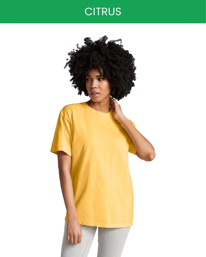 Comfort Colors 1717