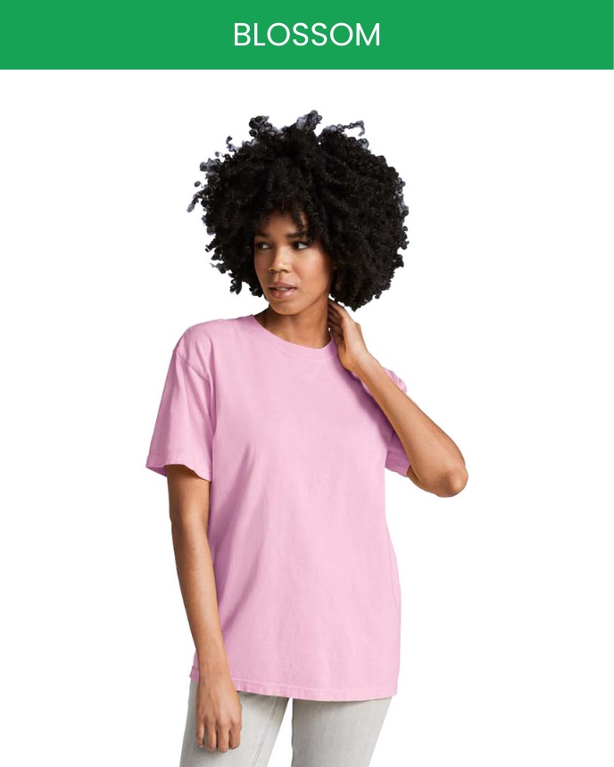 Comfort Colors 1717