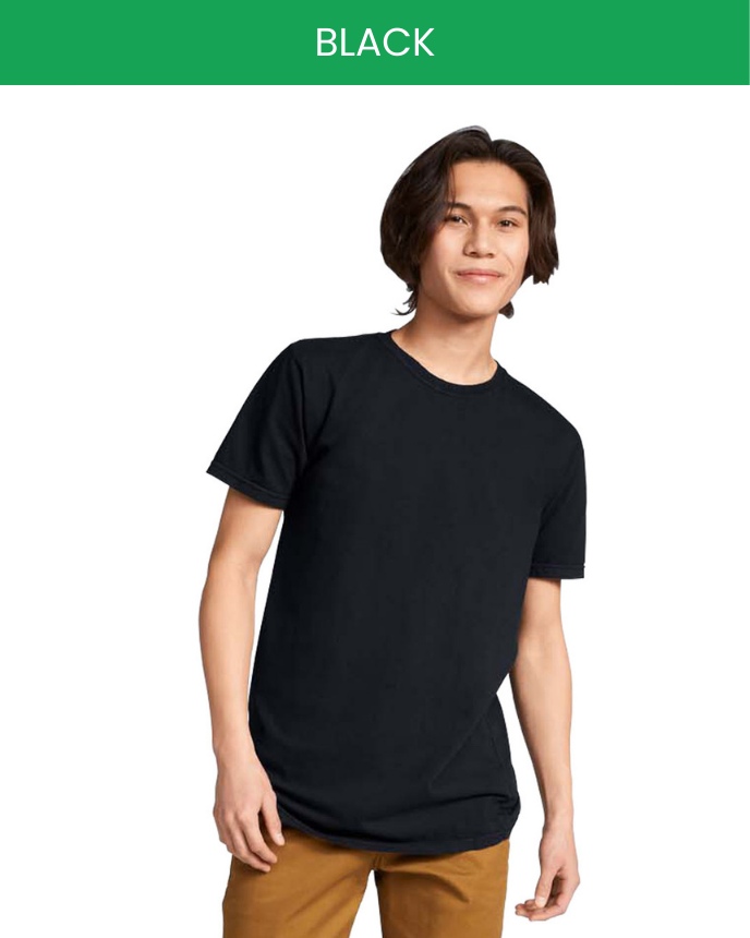 Classic Unisex T-Shirt Comfort Colors 1717 (Made in AU)