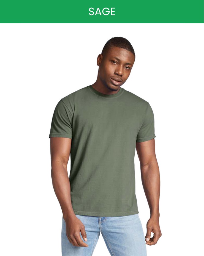 Comfort Colors 1717