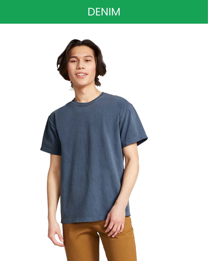 Comfort Colors 1717