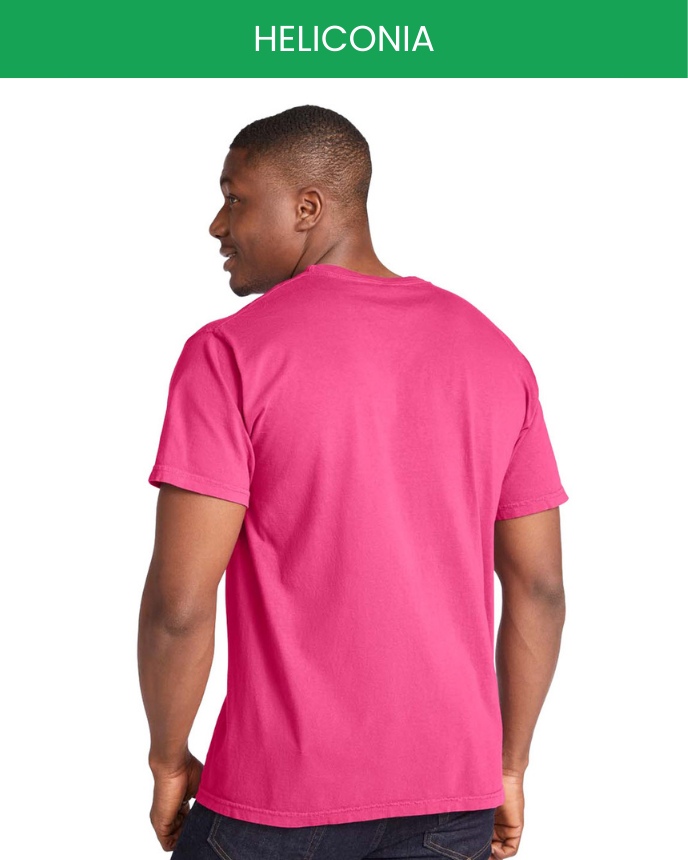 comfort colors 1717