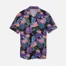 Dress Shirts
