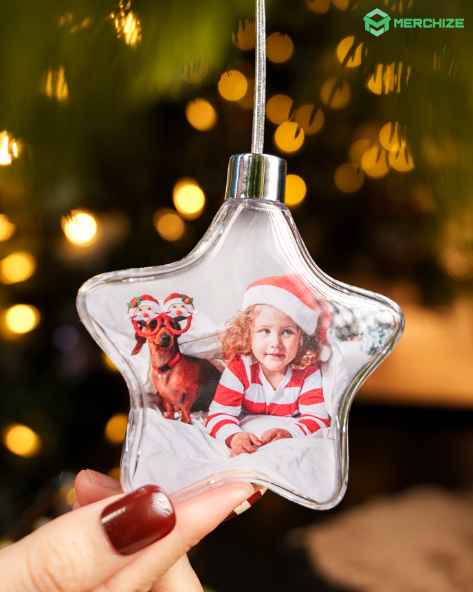 Clear Plastic and Aluminium Ornament