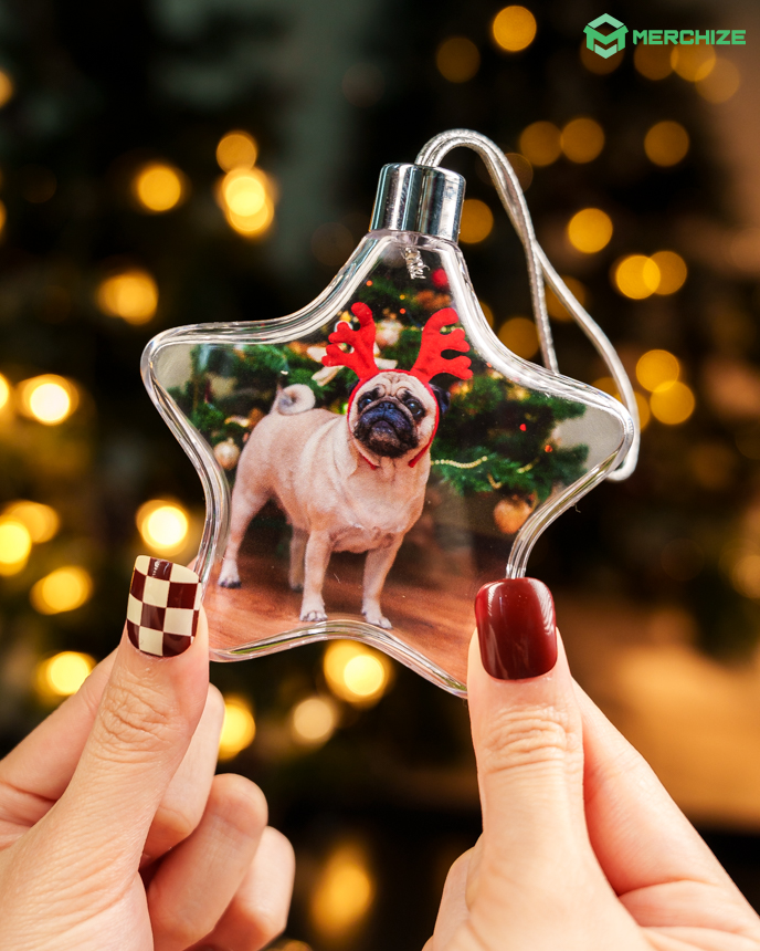 Clear Plastic and Aluminium Ornament