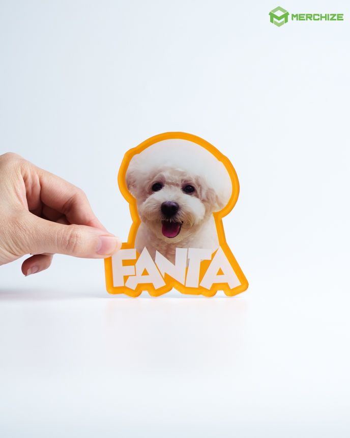 Custom Shape Acrylic Magnet