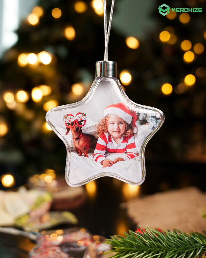 Clear Plastic and Aluminium Ornament
