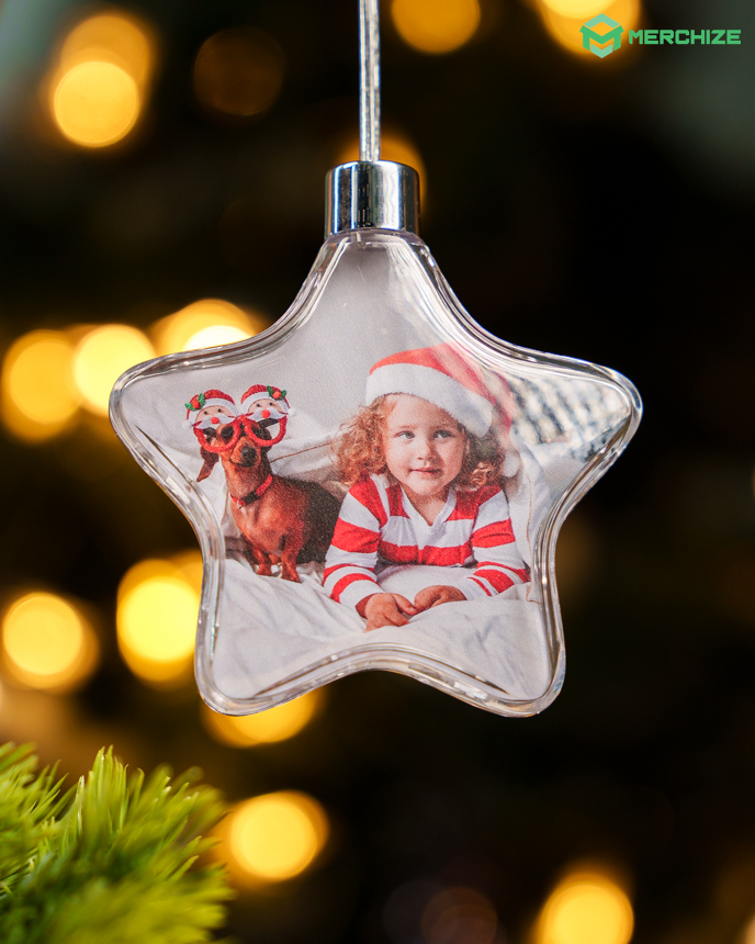 Clear Plastic and Aluminium Ornament
