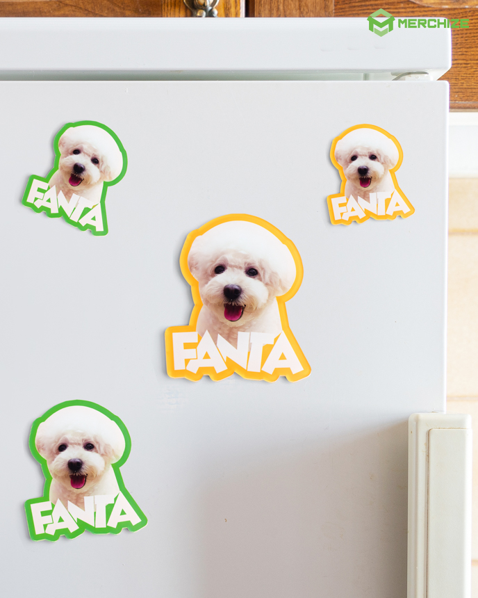 Custom Shape Acrylic Magnet