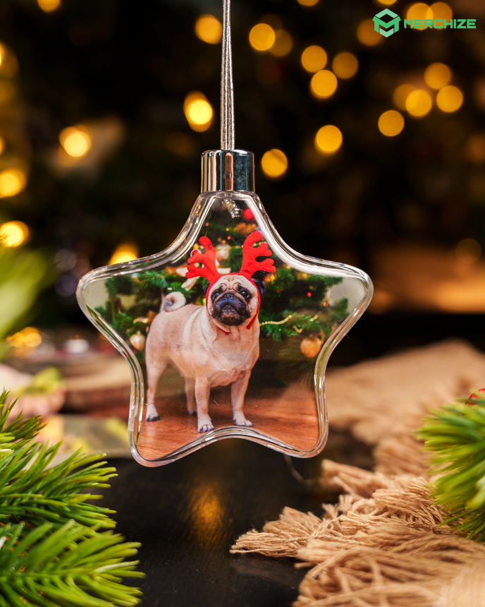 Clear Plastic and Aluminium Ornament