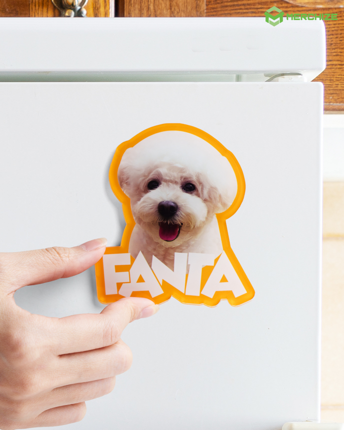 Custom Shape Acrylic Magnet