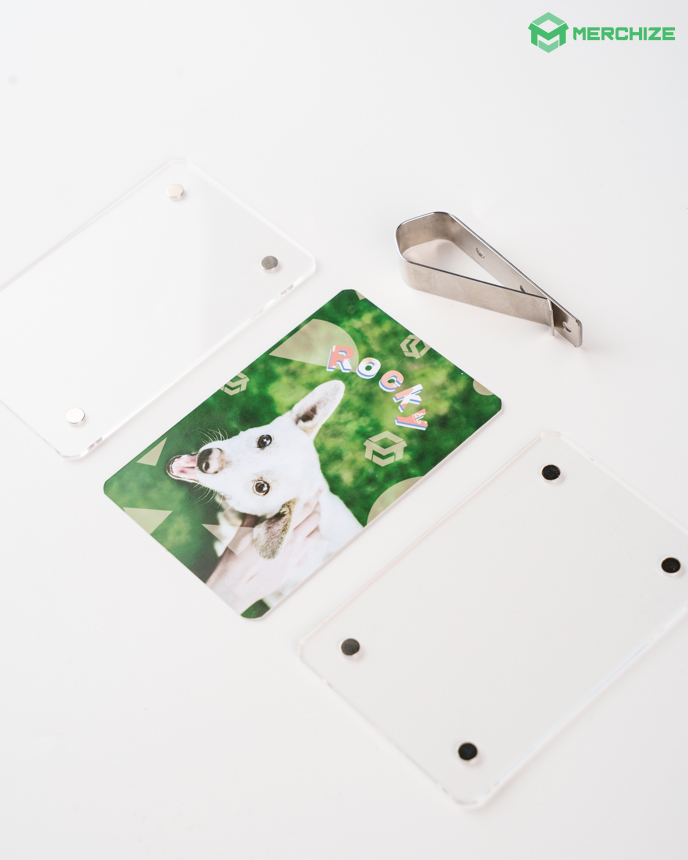 custom car visor clip