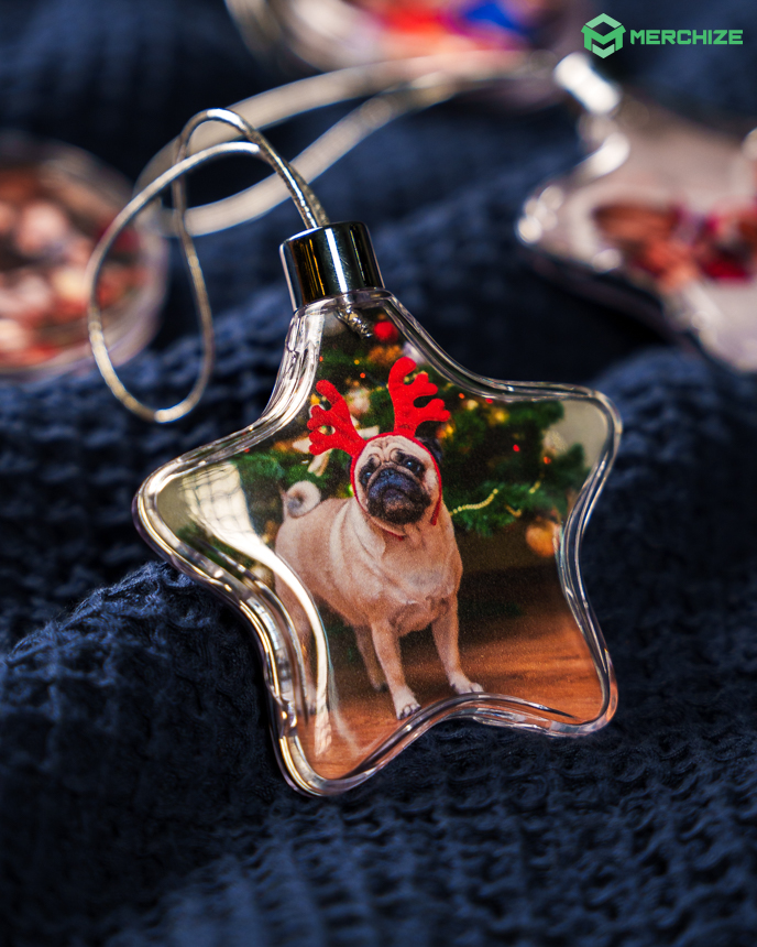 Clear Plastic and Aluminium Ornament