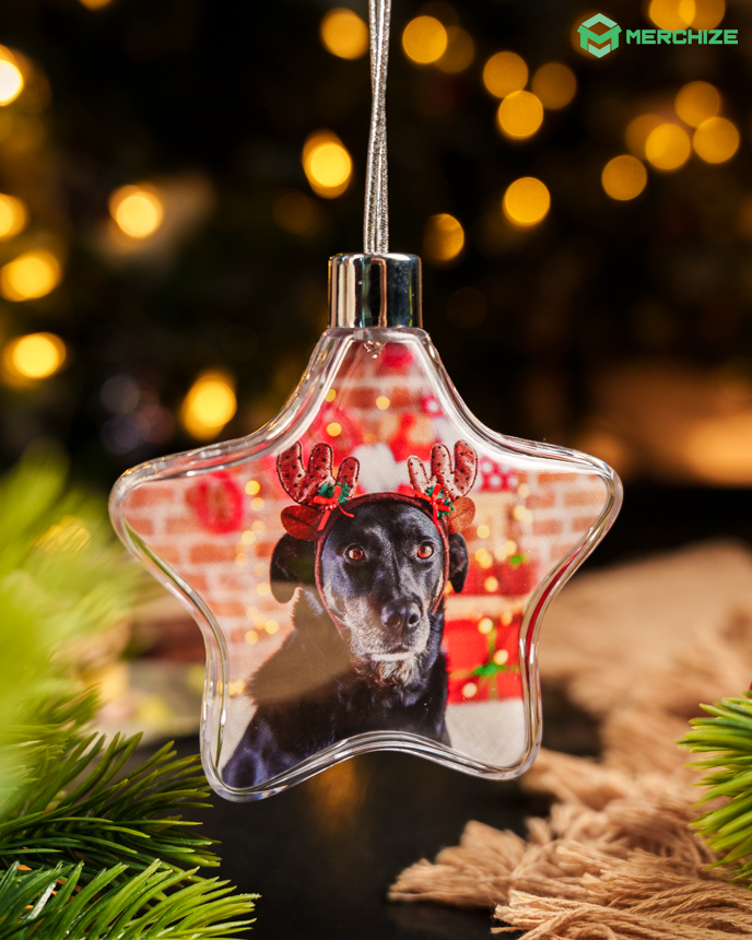 Clear Plastic and Aluminium Ornament