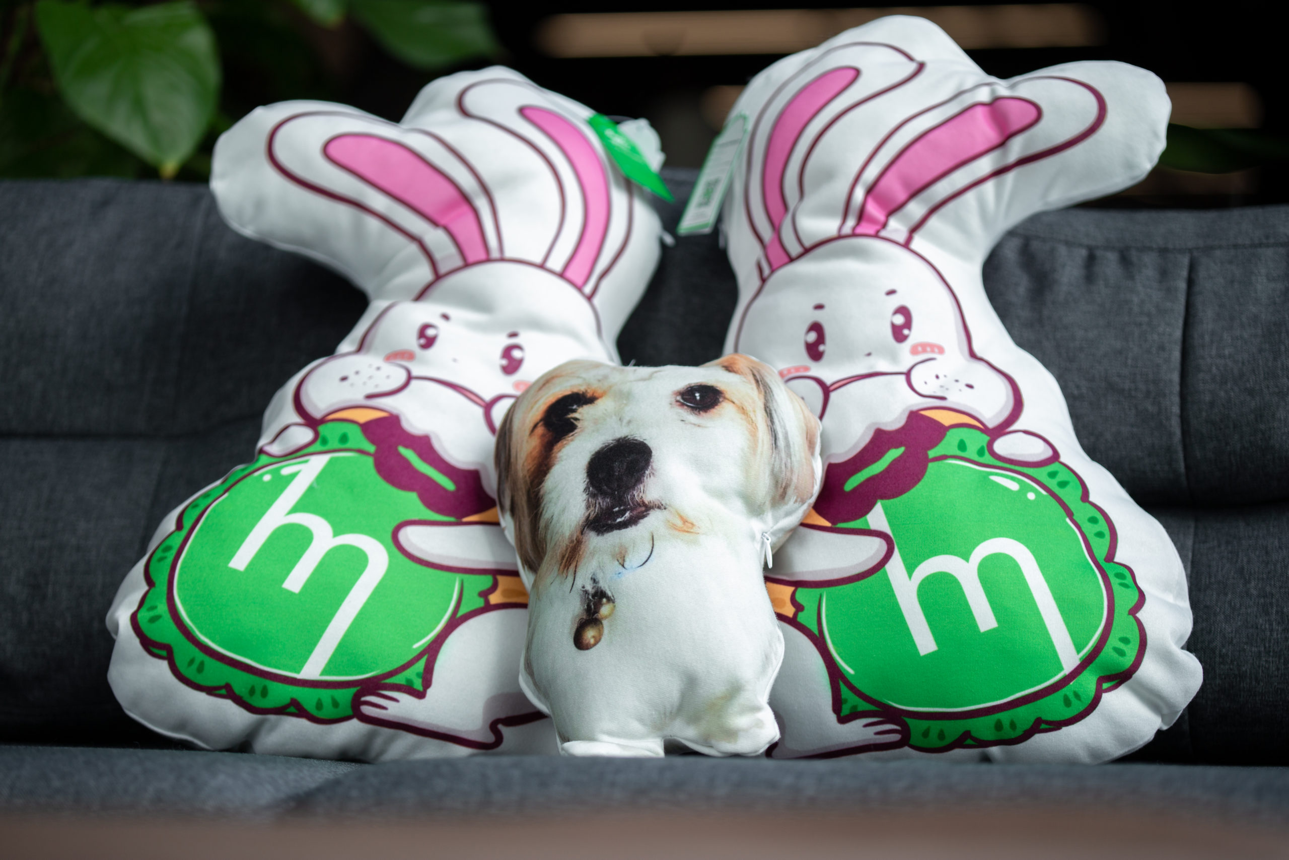 Custom shape Plush Pillow Case