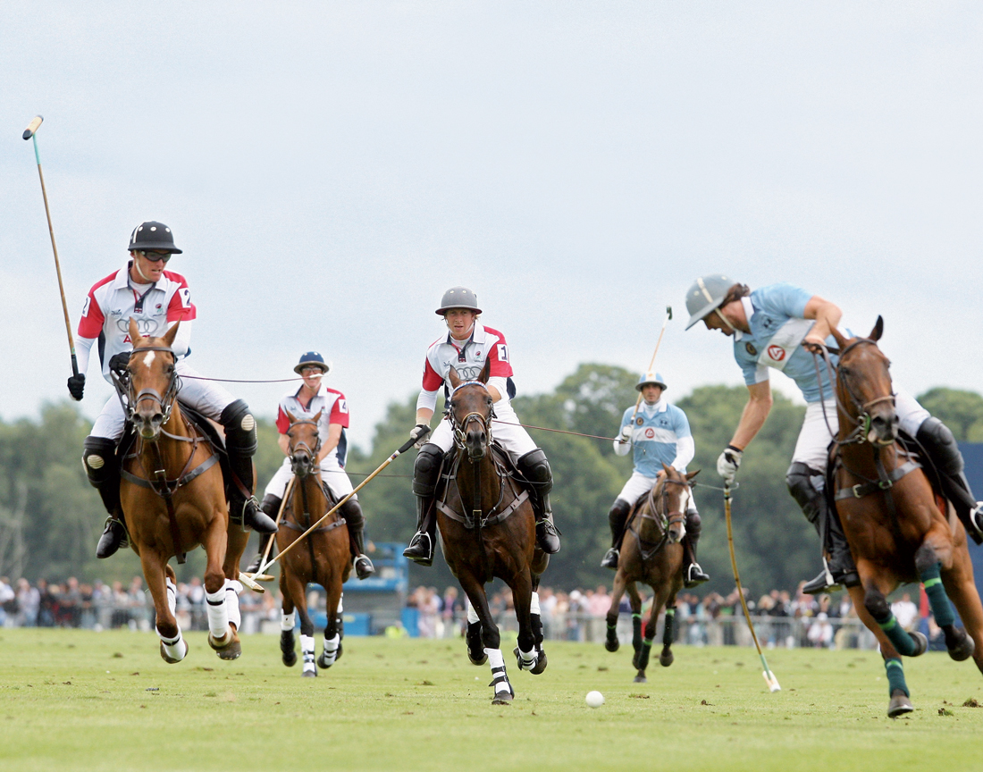 Polo sport