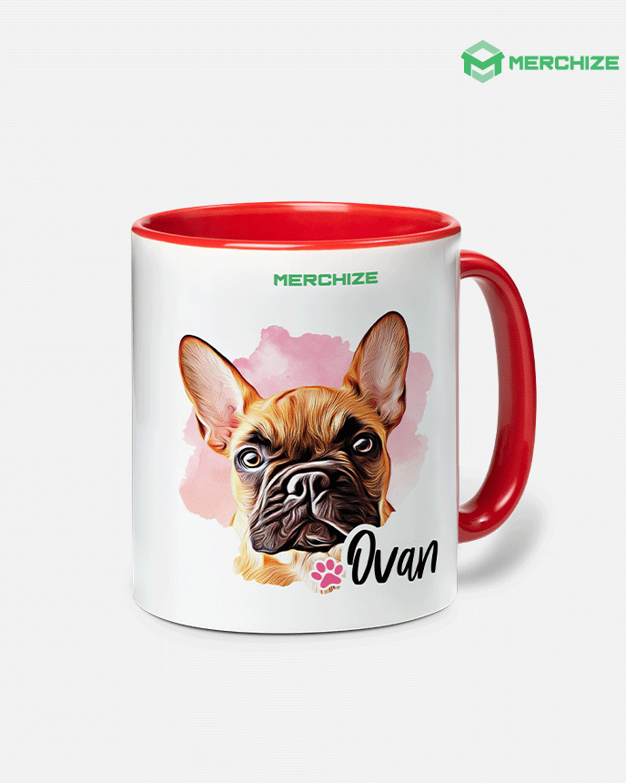 Accent Mug (11oz) (Made In AU)