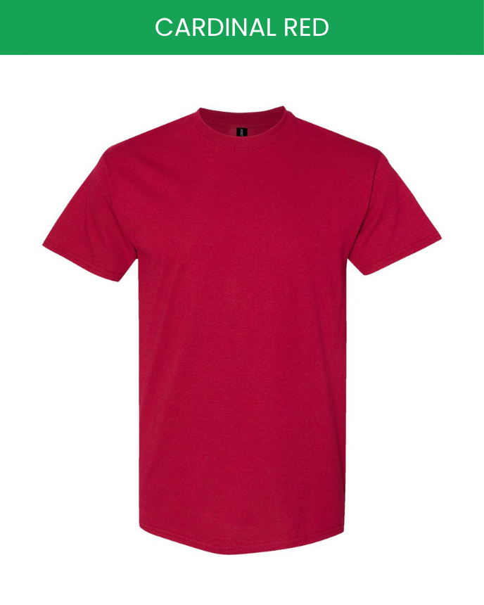 Classic Unisex T-Shirt Gildan 5000 (Made In US)