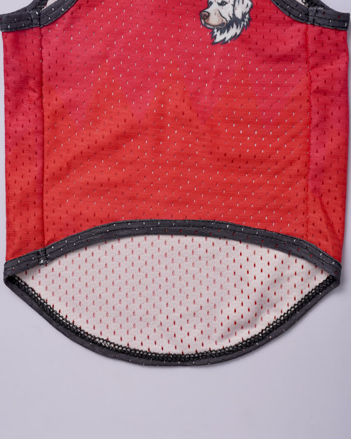 All-over Print Mesh Pet Jersey