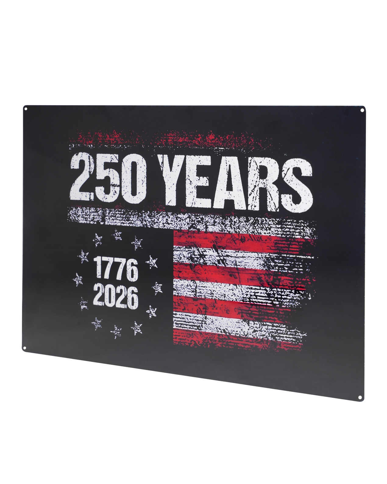 Metal Sign (Made in US) 