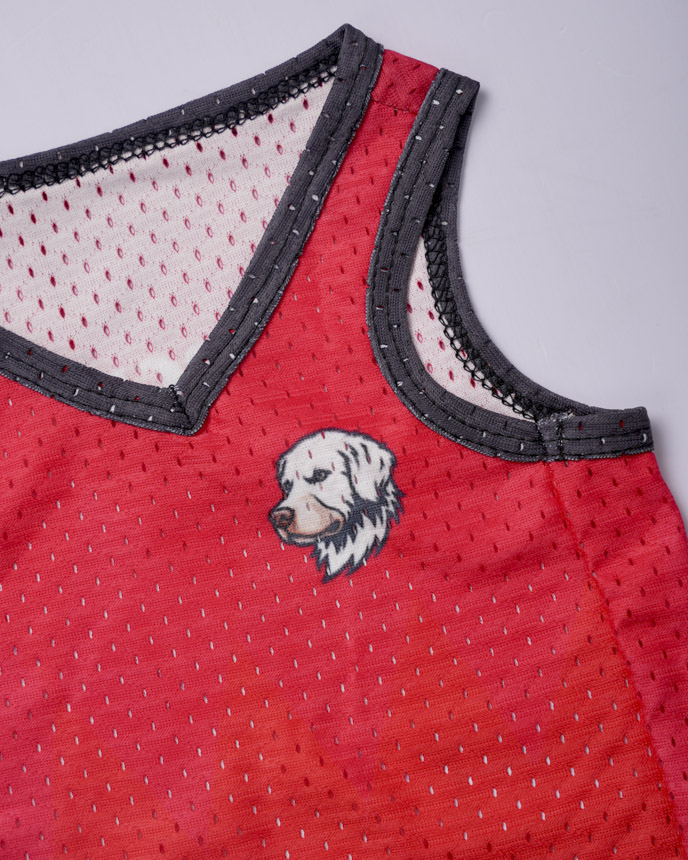 All-over Print Mesh Pet Jersey