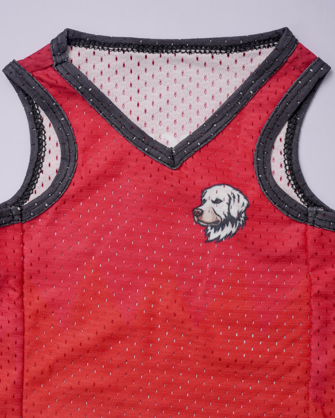 All-over Print Mesh Pet Jersey